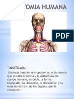Anatomia Humana - Planimetria