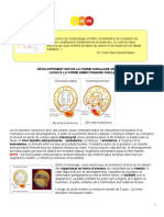 Embryology French