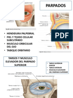 Presentación 1