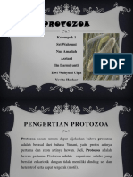 Protozoa