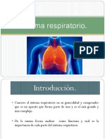 Sistema Respiratorio