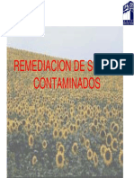 remediacion IPN 03-10-10.pdf