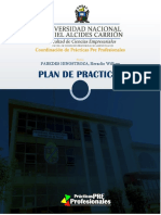 PPP - Plan de Prácticas Paredes