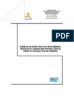 Exemple_de_buna_practica_din_domeniul_dizabilitatii- alternative.pdf