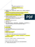 preguntas grupo 3 anatomia patoplogica.docx