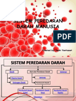 Sistem Peredaran Darah