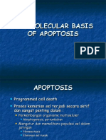 The Molecular Basis of Apoptosis