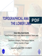 Topographicanatomy Lowerlimb Tisk