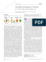 Cellular Basis For The Olfactory Response To Nicotine