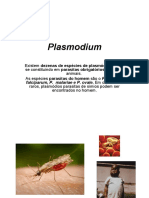 Parasito-Aula - 7 - Plasmodium.