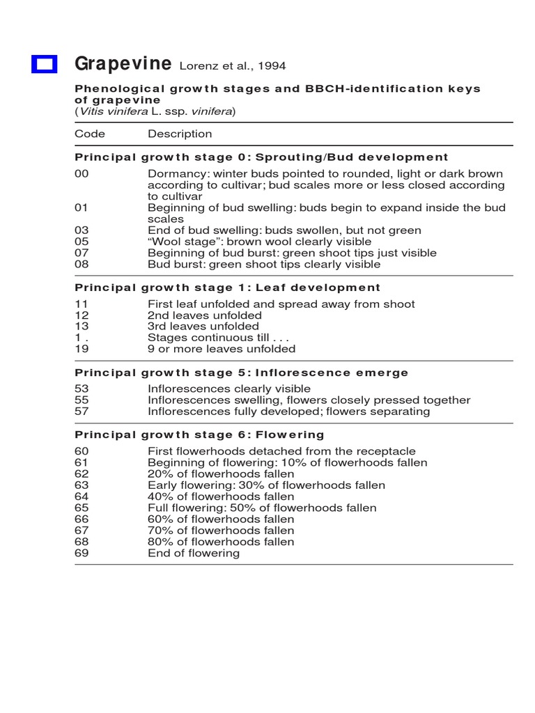 BBCH Scale PDF | PDF