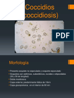 Coccidiosis