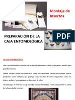761981428.Preparación de la caja entomológica.pdf
