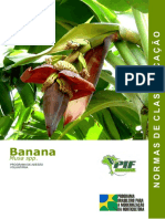 Banana Normas de Classificação PDF