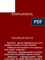 CursVIII Stafilococii