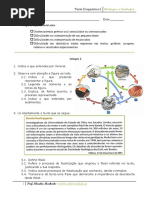 bg_10ºano_teste_diagnostico.pdf