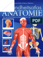 Anatomie Neu OCR