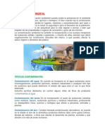 Contaminación ambiental.docx