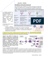 Aula 03.1 PDF