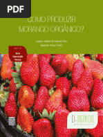 Como-Produzir-Morango-Orgânico