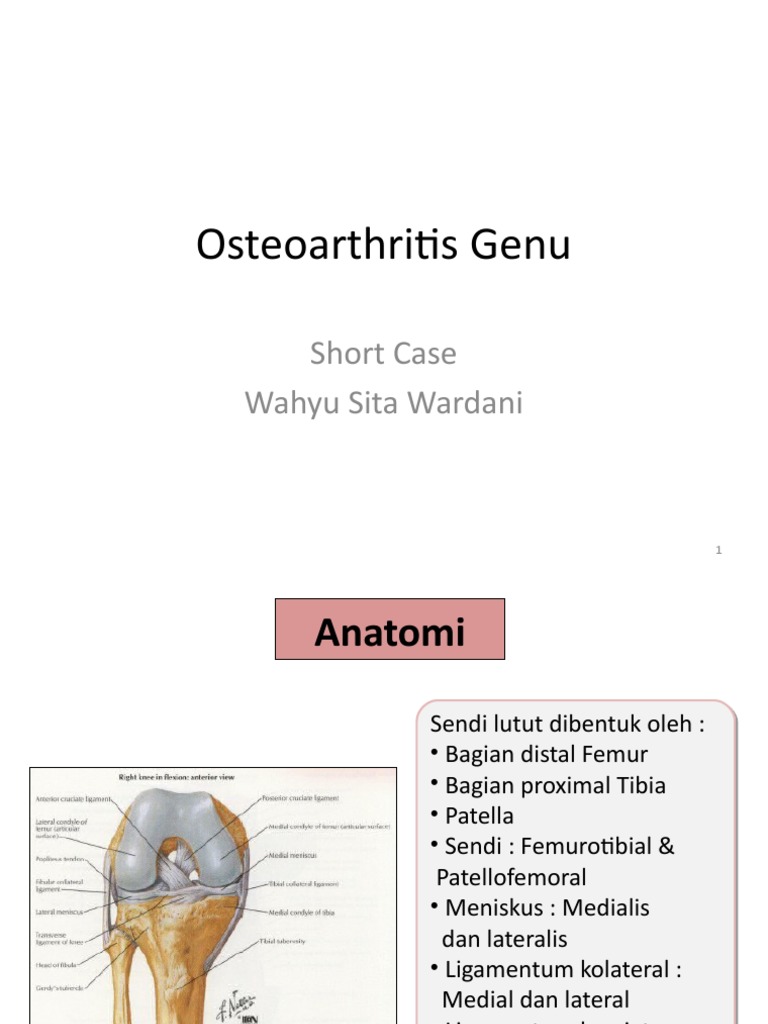 Comprehensive Case Report on Osteoarthritis of the Right Knee with Genu