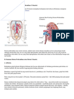 Anatomi Dan Fisiologi Sistem Perkemihan.docx