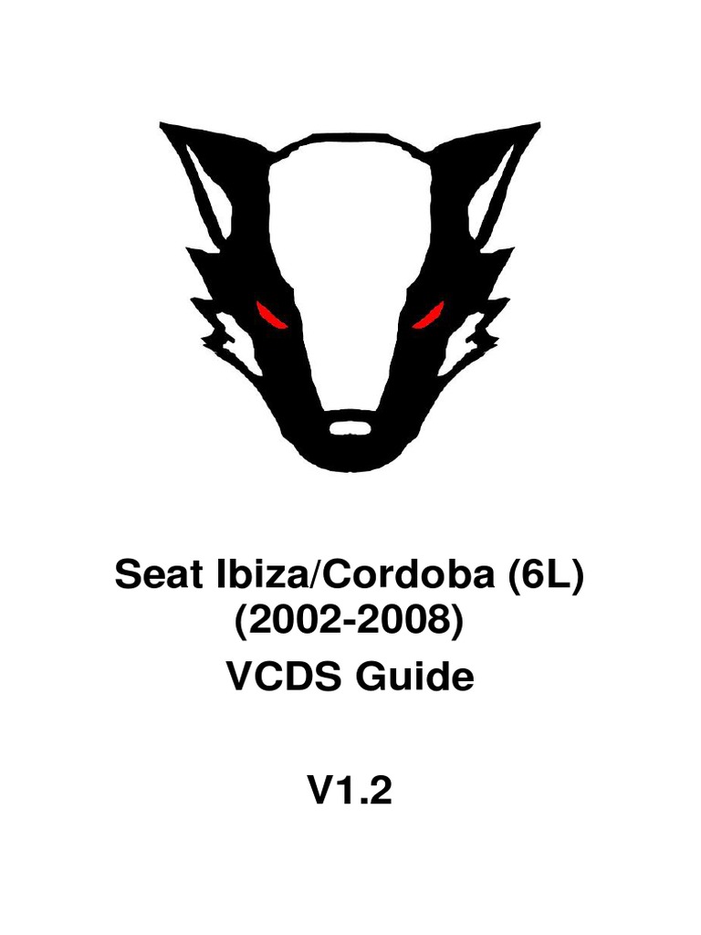 VCDS Guide v1.2 PDF Anti Lock Braking System Airbag
