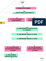 Miru Cristina-Proces de Preparare A Hranei