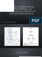 Control Genético de La Síntesis de Proteíca,(1)