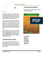 Abonamiento_cafe.pdf