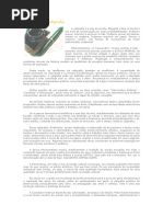 A História Da Caligrafia