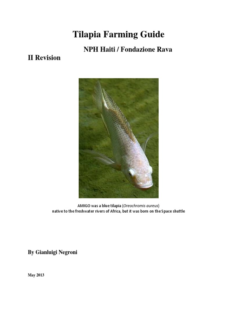 Tilapia Farming Guide PDF Spawn (Biology) Fertilizer