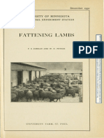 Fattening Lambs: University of Minnesota