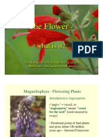 Flowers3.pdf