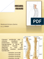 Anatomia Si Biomecanica Articulatiilor Coloanei Vertebrale