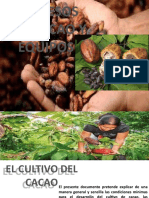 Proceso Del Cacao y Equipos