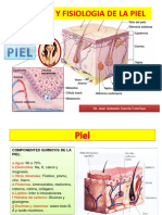 4 anatomia y fisiologia de la piel.pptx