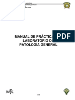 606_968_MP Patología General.pdf