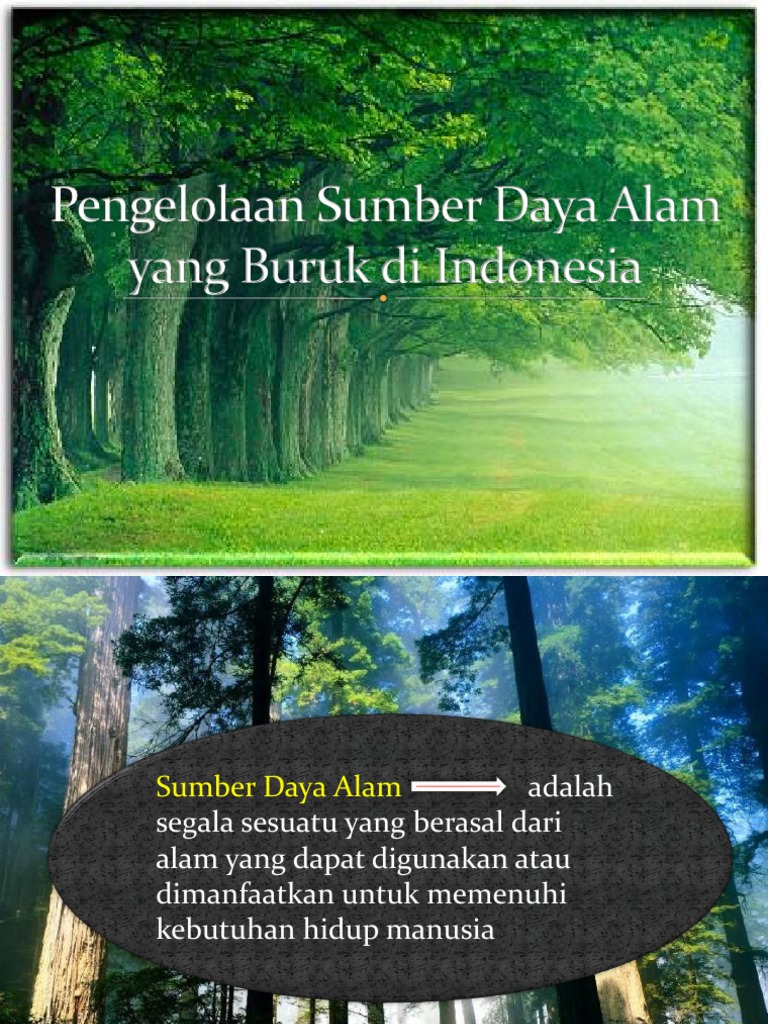 Pengelolaan Sumber Daya Alam Yang Buruk Di Indonesia