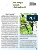 Aves Da Estrada Parque Pantanal