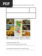 Ficha de trabalho as rochas,o solo e os seres vivos.docx