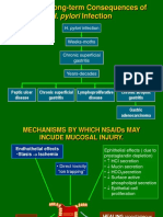 H. Pylori Infection: Potential Long-Term Consequences of