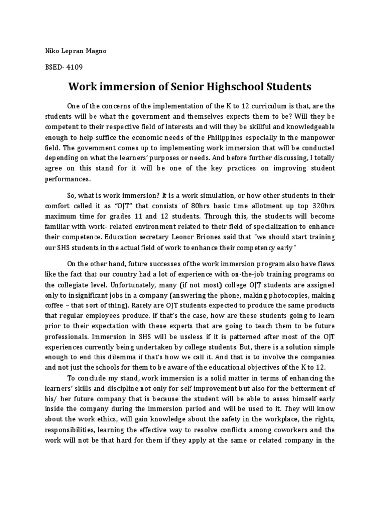 experience of work immersion essay