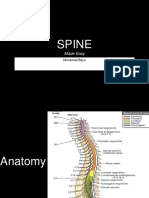 Spine: Made Easy