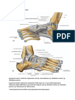 Anatomi Ankle Joint