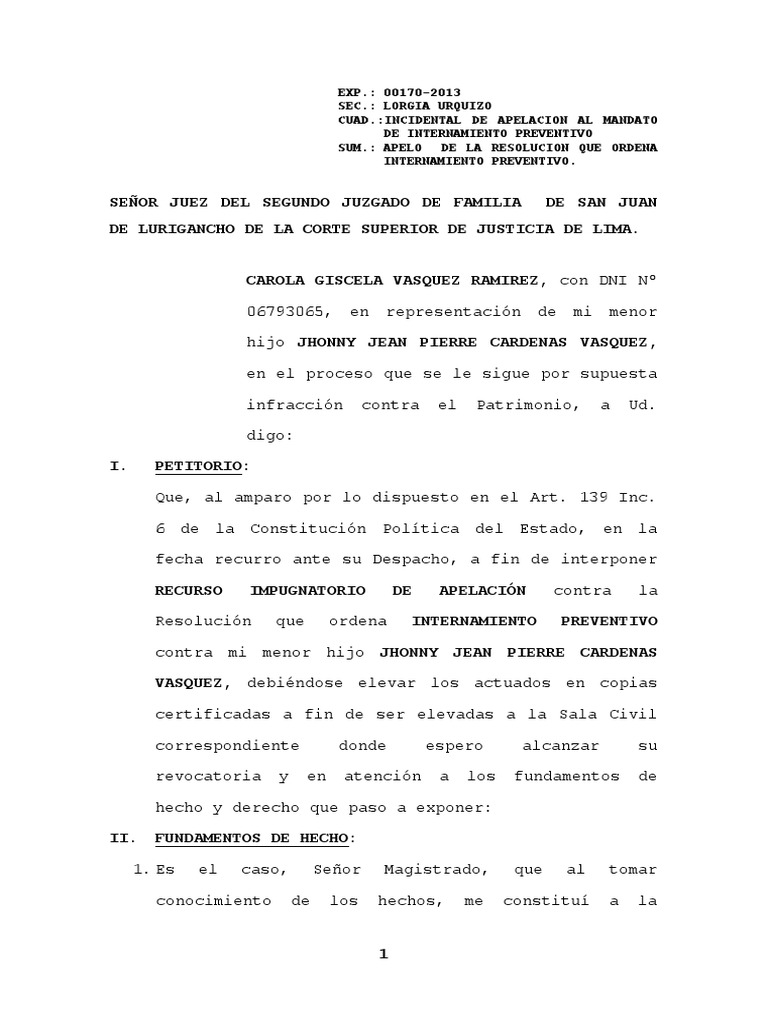 Apela Resolucion | PDF | Ley Pública | Justicia