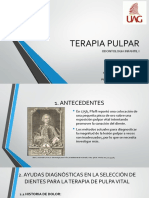 Terapia Pulpar