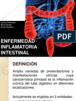 Enfermedadinflamatoriaintestinal 131104124904 Phpapp02