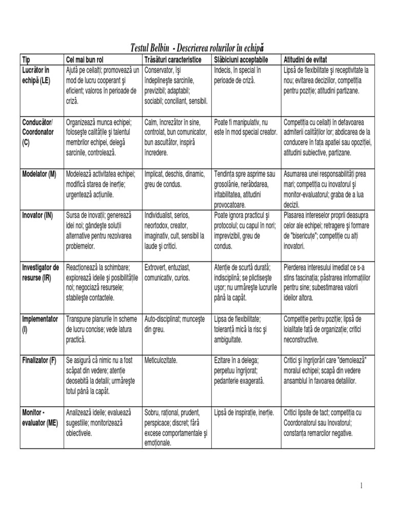 Interpretare Belbin PDF | PDF