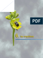 03_orquideas.pdf
